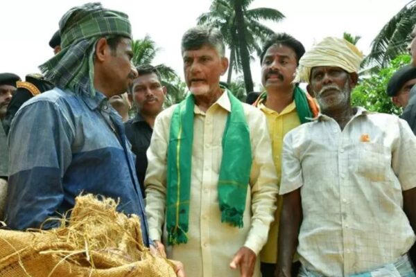 YSRCP government in A.P. is anti-farmer, alleges TDP chief Chandrababu Naidu