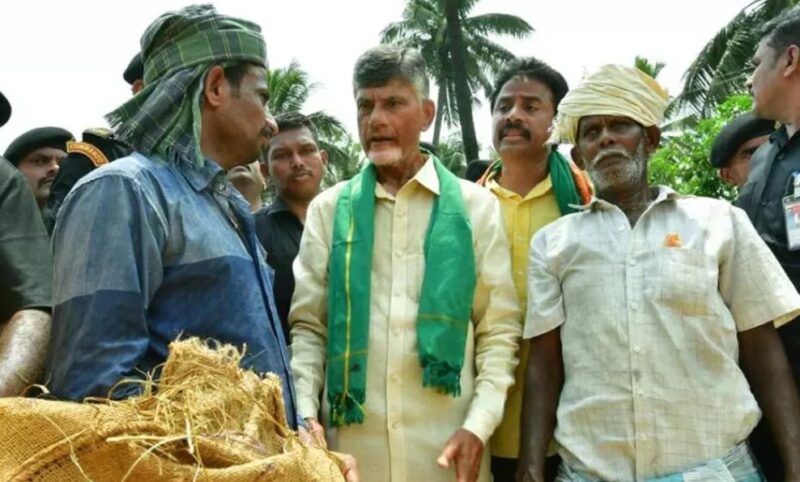 YSRCP government in A.P. is anti-farmer, alleges TDP chief Chandrababu Naidu